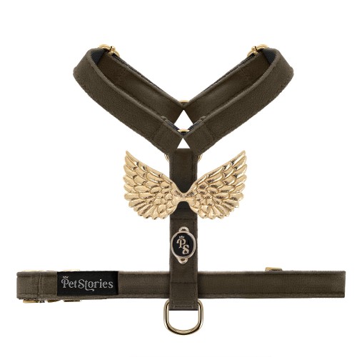szelki_wings_petstories_czekoladowe.jpeg
