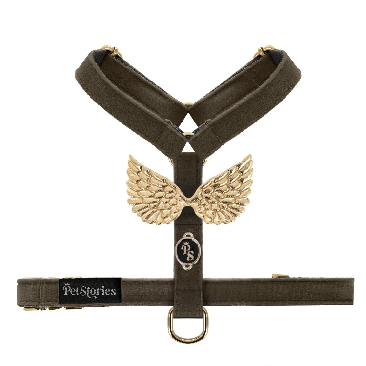 szelki_wings_petstories_czekoladowe.jpeg