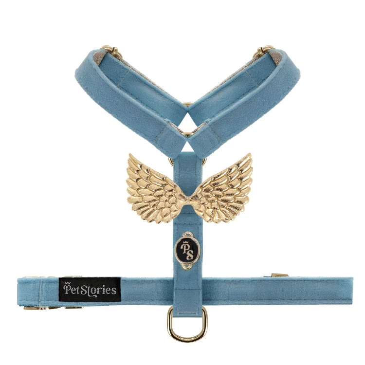 szelki_wings_petstories_niebieskie.jpeg
