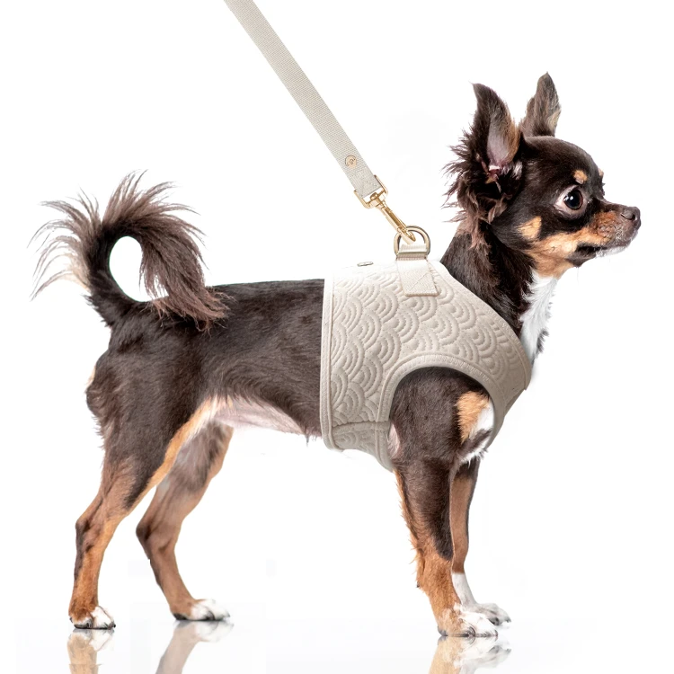 MP2353 - FUJI Taupe Dog.jpg