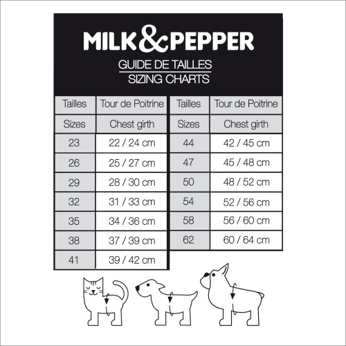 Guide de Tailles - Sizing Chart.jpg