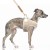 MP2359 - KOFI Beige-Ecru Dog.jpg