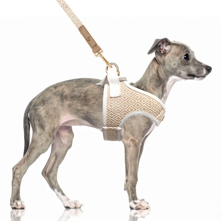 MP2359 - KOFI Beige-Ecru Dog.jpg