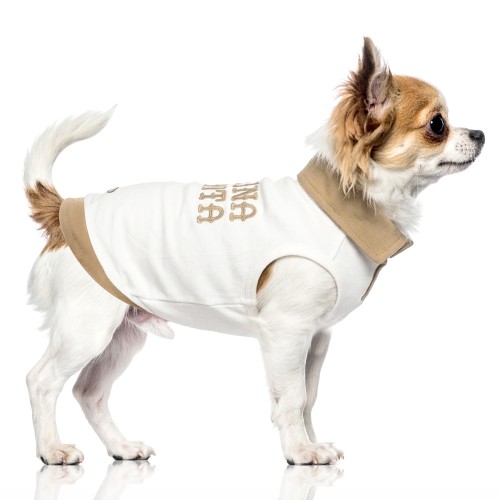 MP2377 - BAKARI - Dog.jpg