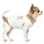 MP2377 - BAKARI - Dog.jpg
