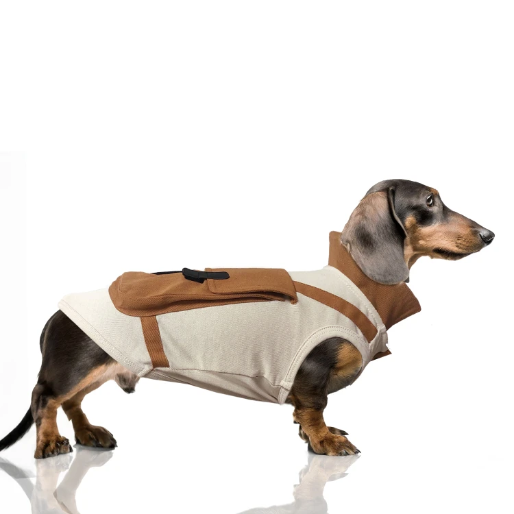 MP2287 - YINDI Dog.jpg