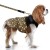 MP2373 - MARY Dog.jpg