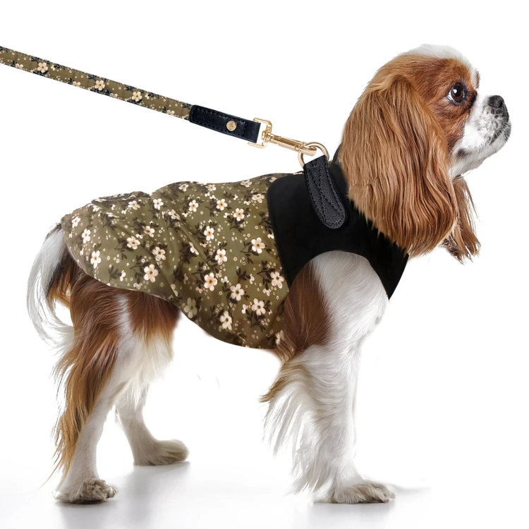 MP2373 - MARY Dog.jpg
