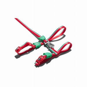 Szelki i smycz dla kota Lola Zee Cat