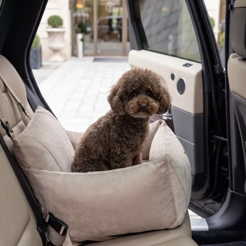 Petstories LYON SOFT (beige).webp