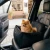 Petstories Lyon Black.webp