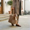 Cavalier in Bag.webp