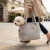 Bichon Frise Outdoor.webp