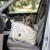 Yorkshire Terrier Transport.webp