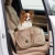 Papillon w torbie.webp