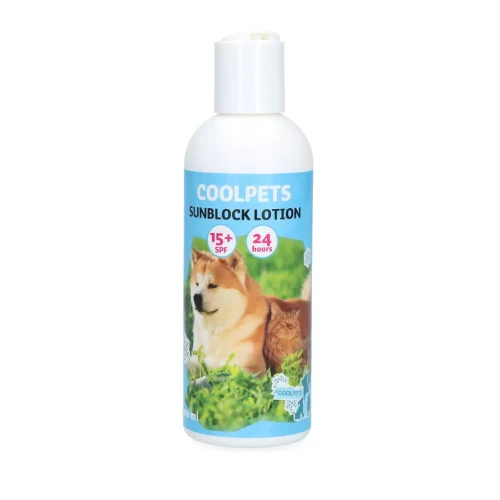 COOL080-main.webp