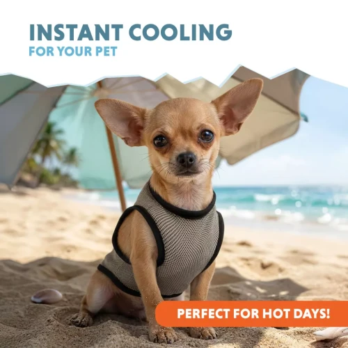 COOL034XS_01-main.webp