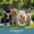 COOL034S_08-main.webp