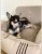 Screenshot_20220623_195447.jpg