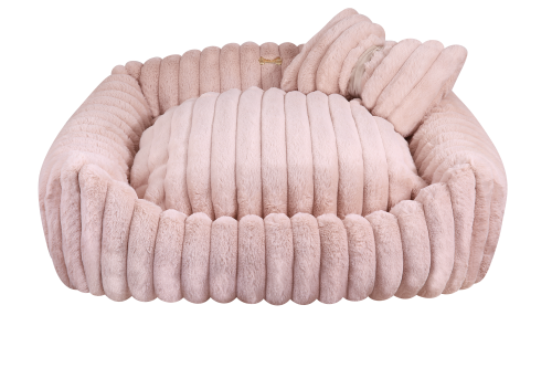 aFOTO_67092 a.png
