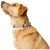208464_001_image_25_alpha_1920x1920.jpg