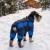 jp2377_ny_d_3.jpg