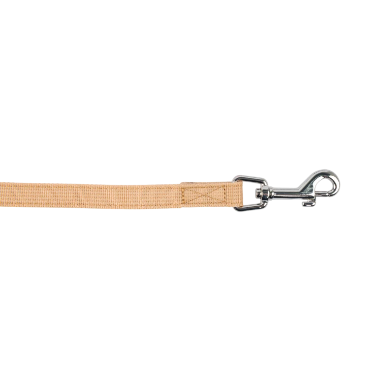 al7953_wn_5.png