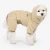 haina-caini-olchi-high-neck-fur-oaxd-op6598~804785.webp