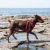 0d442a53f5246.webp
