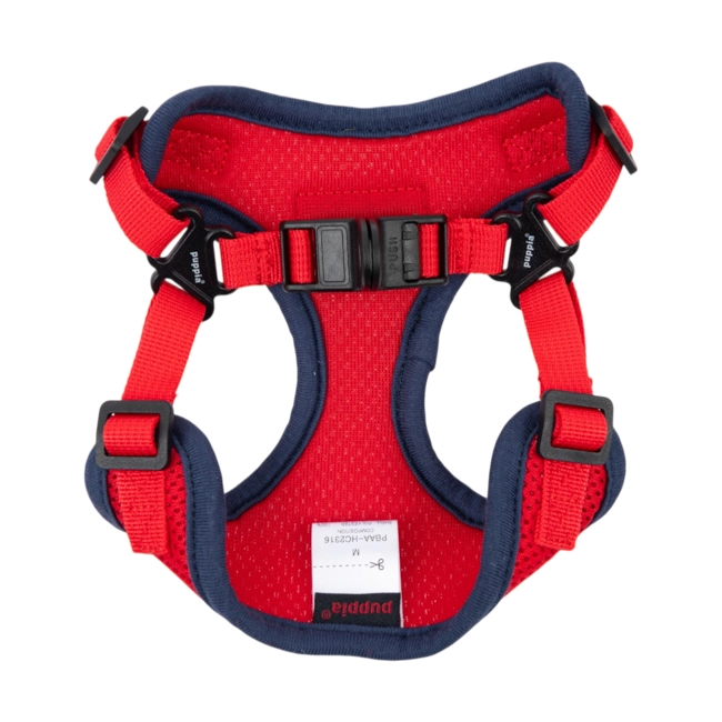 0449e551c2ecc.webp