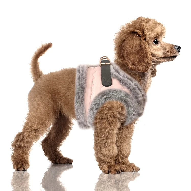 MP2424 - MARIANNE Dog.jpg