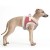 MP2427 - SOLENE Dog.jpg