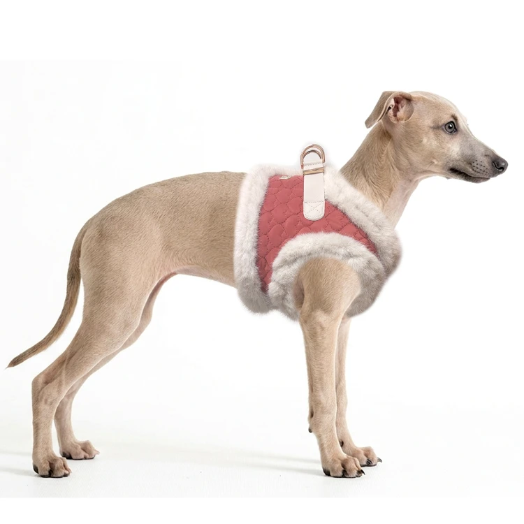 MP2427 - SOLENE Dog.jpg