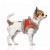 MP2431 - PERCY Dog.jpg