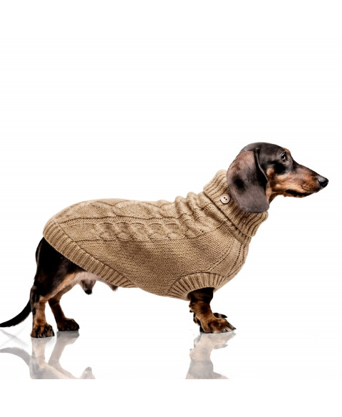 sweater-montgomery (1).jpg