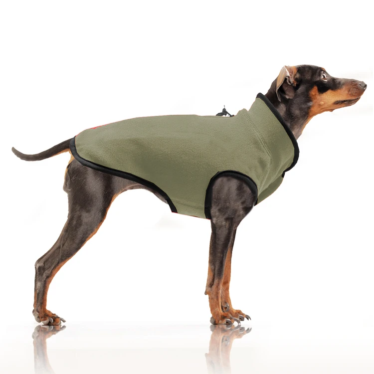 MP2178 - EXPLORER Kaki - Dog.jpg
