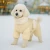 364e580edce87.webp
