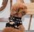 pavd-hj1930.webp