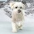 fluffy-zip-up-jumper-beige-fluffy-zip-up-jumper-olchi-8231-11-O.jpg