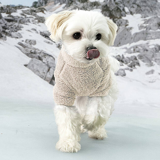 fluffy-zip-up-jumper-beige-fluffy-zip-up-jumper-olchi-8231-11-O.jpg