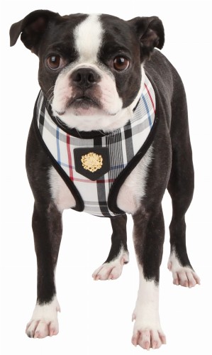 Bezuciskowe szelki dla psa puppia junior white black