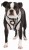 Bezuciskowe szelki dla psa puppia junior white black