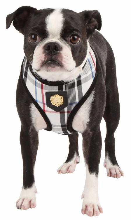 Bezuciskowe szelki dla psa puppia junior white black
