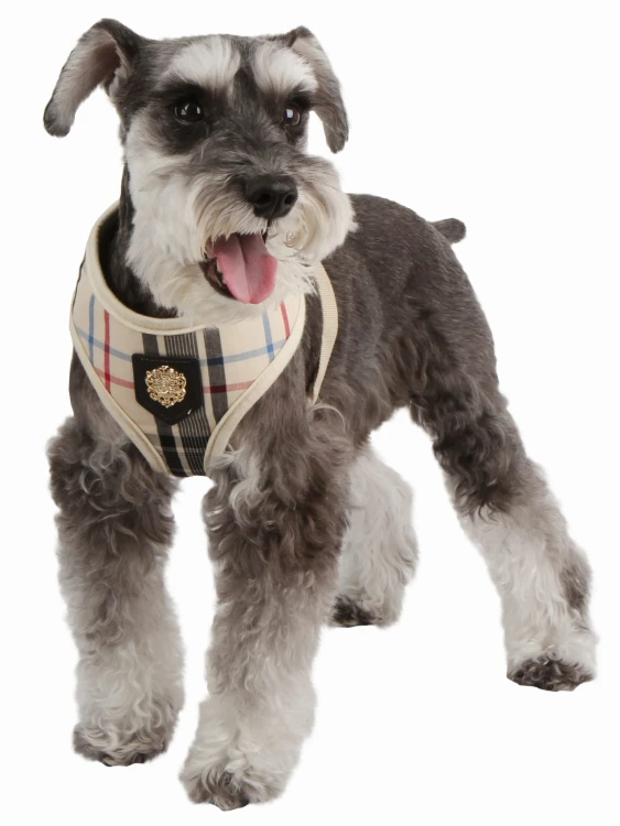 Bezuciskowe szelki dla psa puppia junior beige