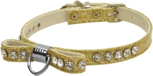 Sweet Bow golden collar