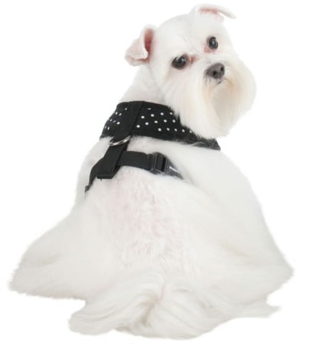 Bezuciskowe szelki dla psa puppia dotty kropki black czarne