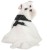 Bezuciskowe szelki dla psa puppia dotty kropki black czarne