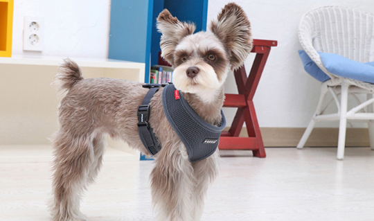 Bezuciskowe szelki dla psa i kota puppia soft szare grey