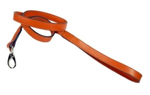 Hermes in Tangerine & Nickel Lead