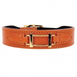 Hermes Style in Tangerine & Gold Dog Collar